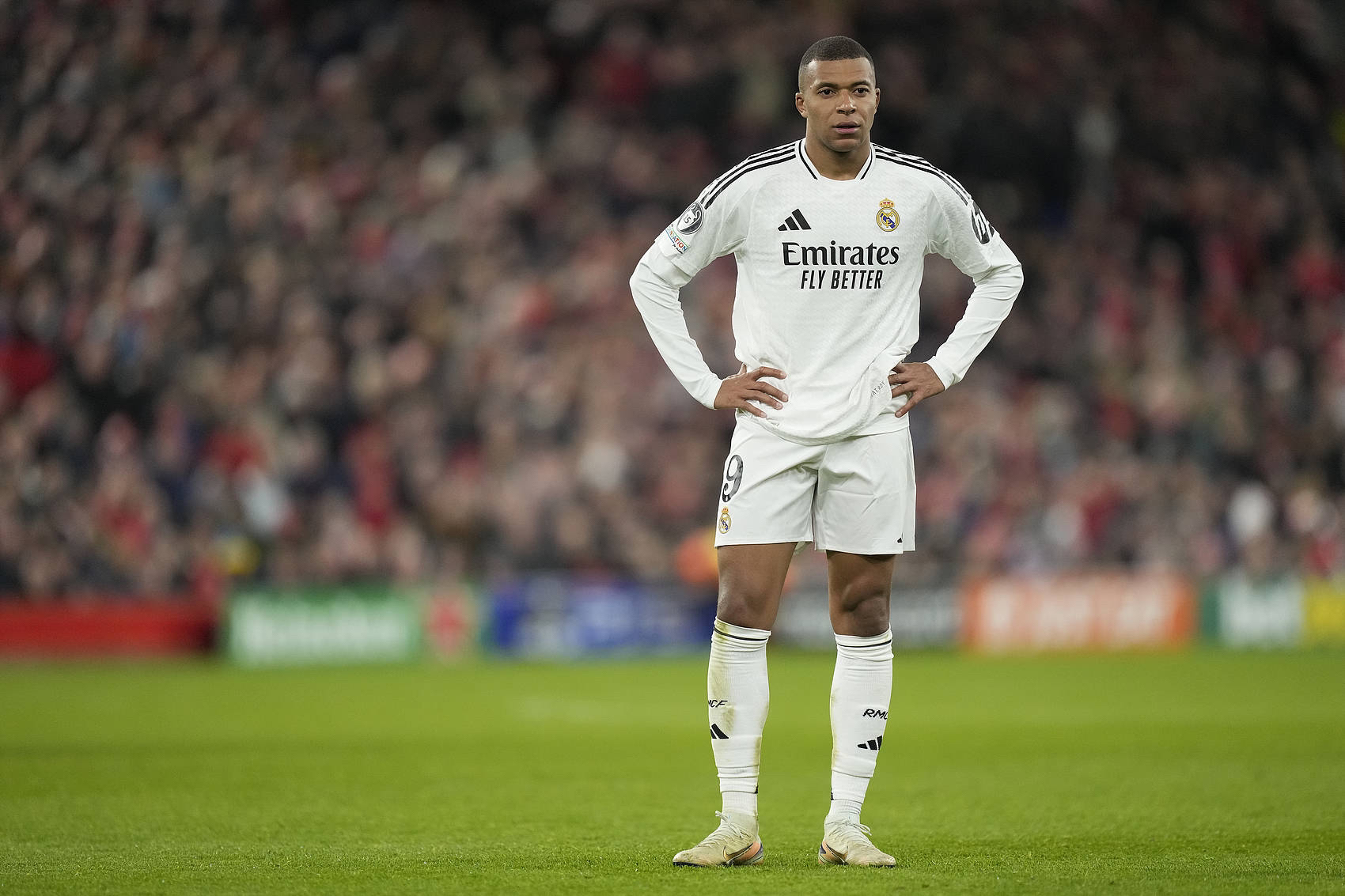 新鹏城官方：杜加利奇将在合同期满后正式离队