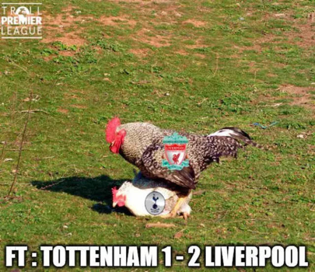 巴西博彩平台2025年虚拟体育用户占比升至35%